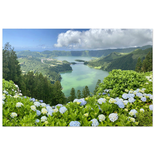 05977d2f-aaf8-4be7-a4a1-5225cb16e9f2