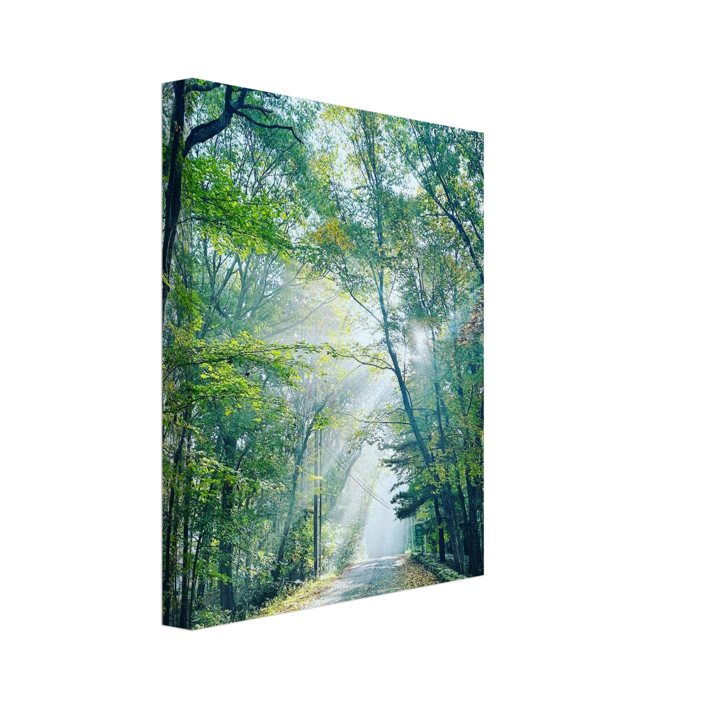 24ec5499-f2ca-4454-a16e-f649f181a6cc