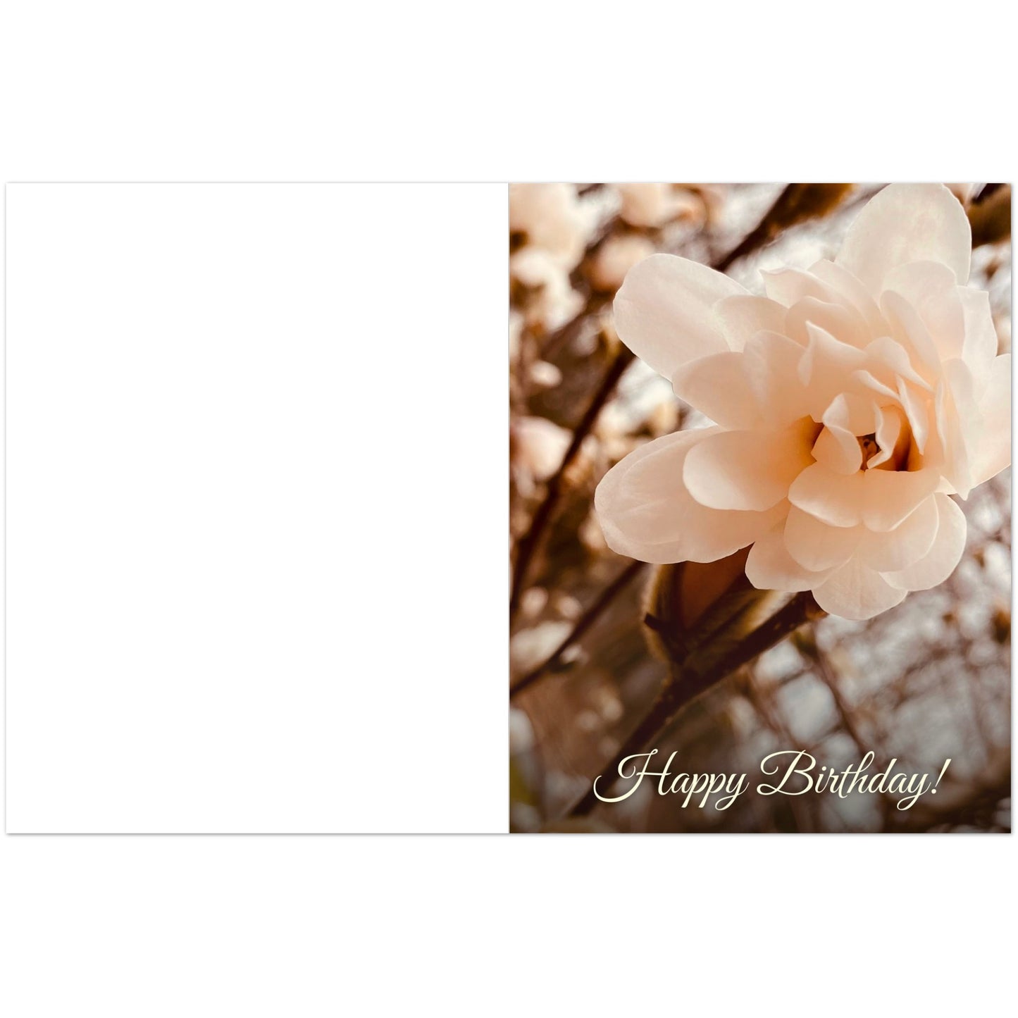 2e99413d-30b5-4fab-a22e-1515c7588085