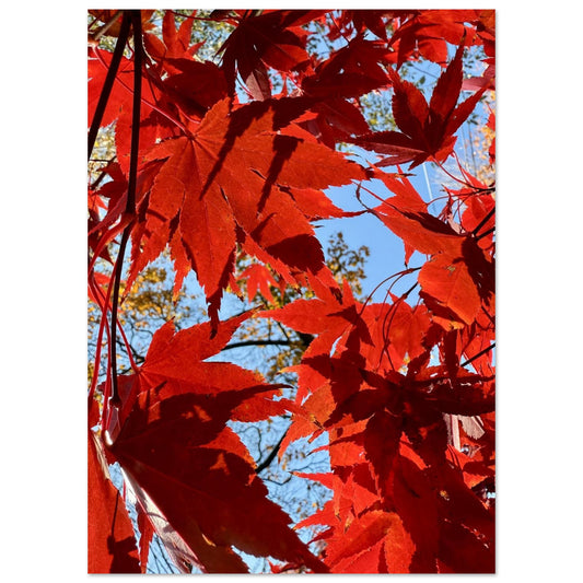 5630062f-b837-431b-9207-09c31ca0d4fe