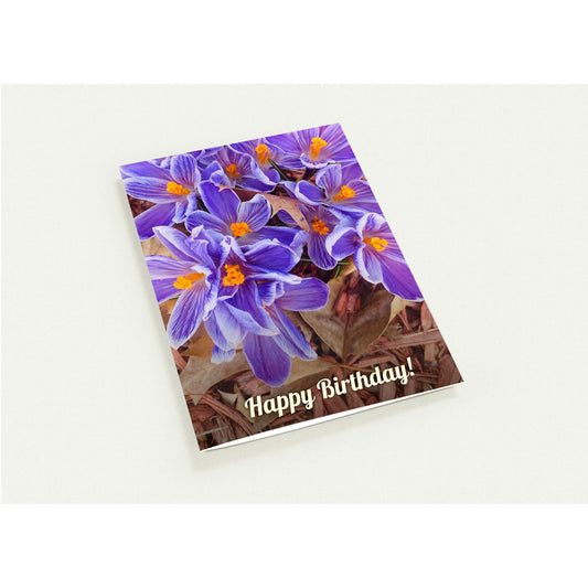 63268539-524c-4170-b9b4-260efd8de927