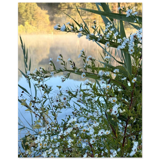 64d2022c-da20-4ea0-b42d-949de13b2577