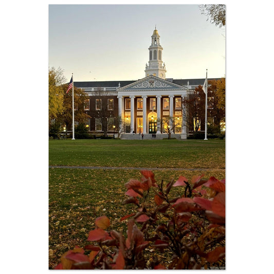 903151e2-4e60-48ec-a97a-0ad5e1315945