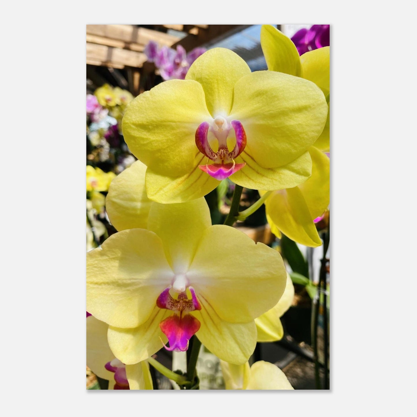 a5010d98-db27-4a77-89f3-dac9fad4c204