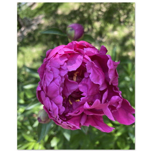 be7f874c-b6ed-4845-9ae2-beff9b931512