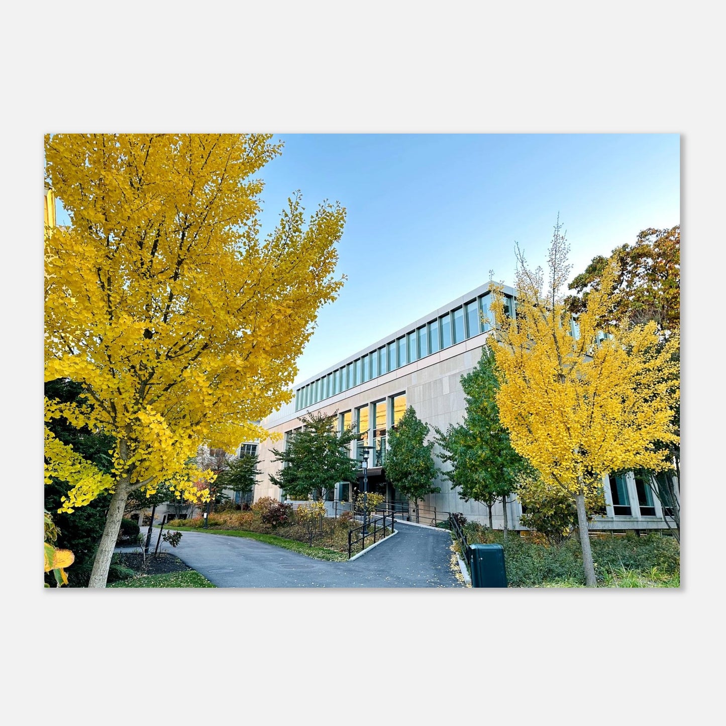 03375531-ec18-4631-aae0-69ebed75b71e