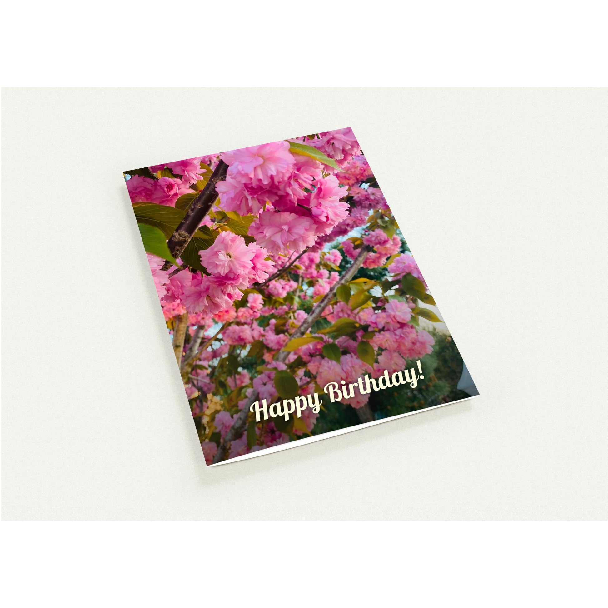 03e582cd-b97f-4658-8f08-f69e94b93d99