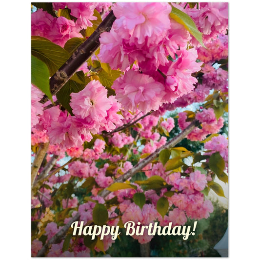 0408d06f-a5d3-409e-b79f-11d2964ea4ed