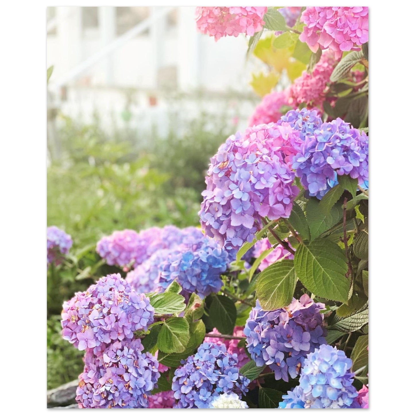 0509880c-c0c5-4600-ac7a-2a5056f99bb5