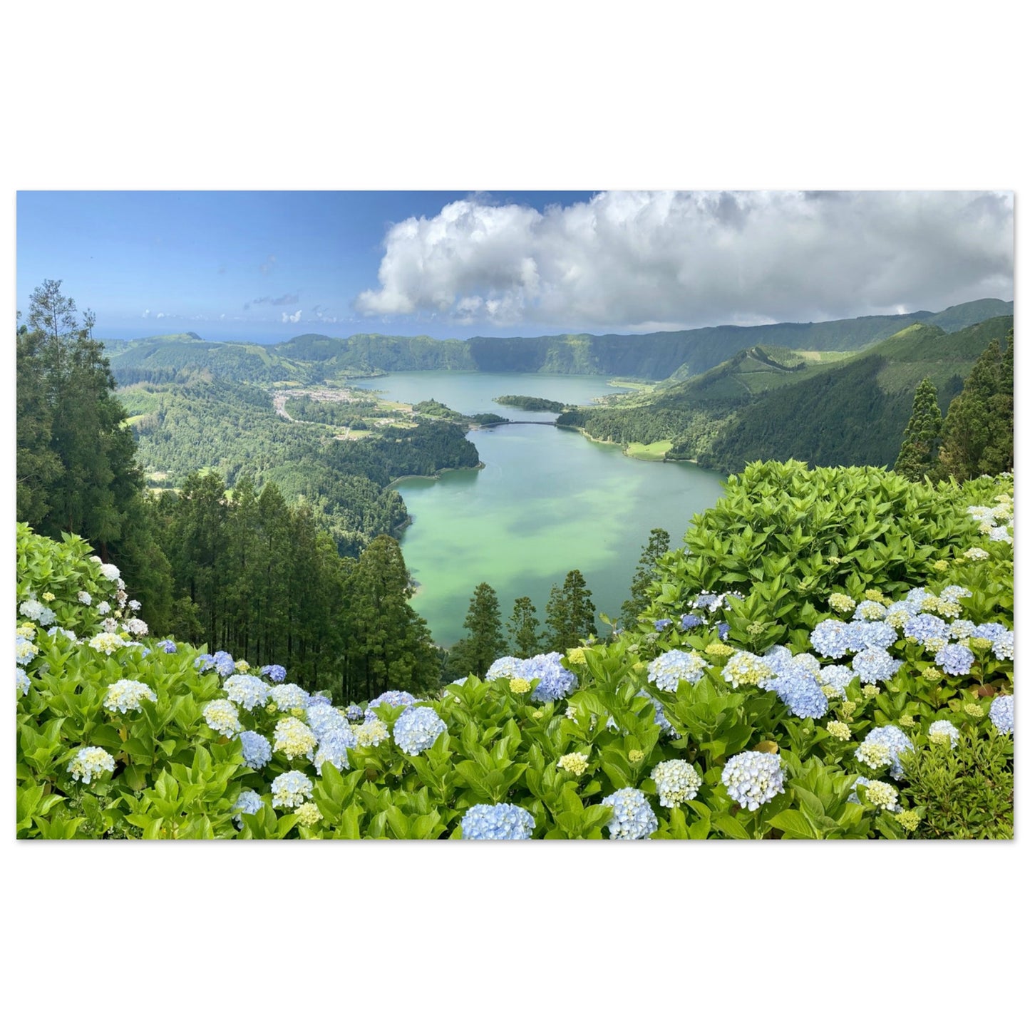 05977d2f-aaf8-4be7-a4a1-5225cb16e9f2