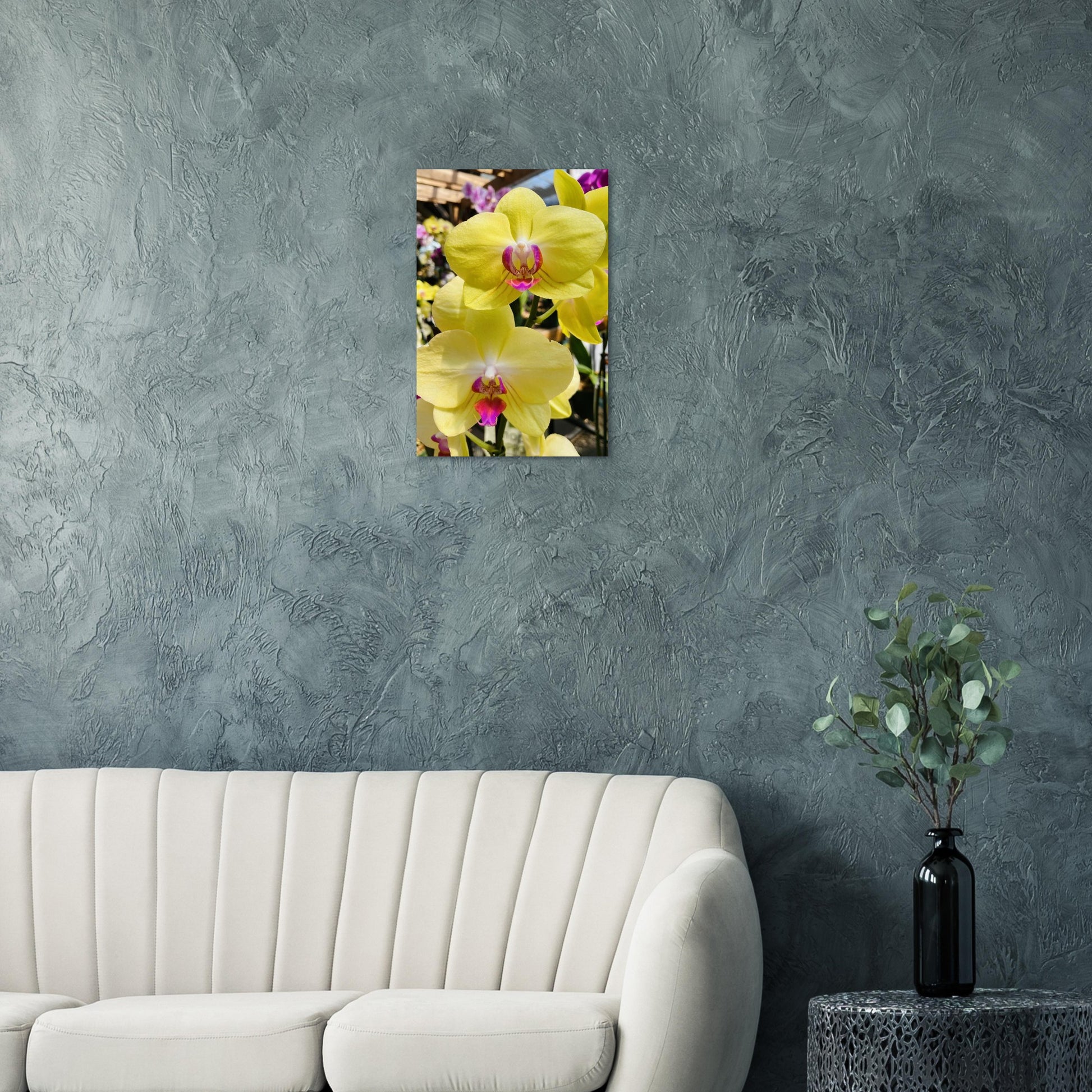 06b551b1-acdc-4111-b127-1fb7ff4dde51