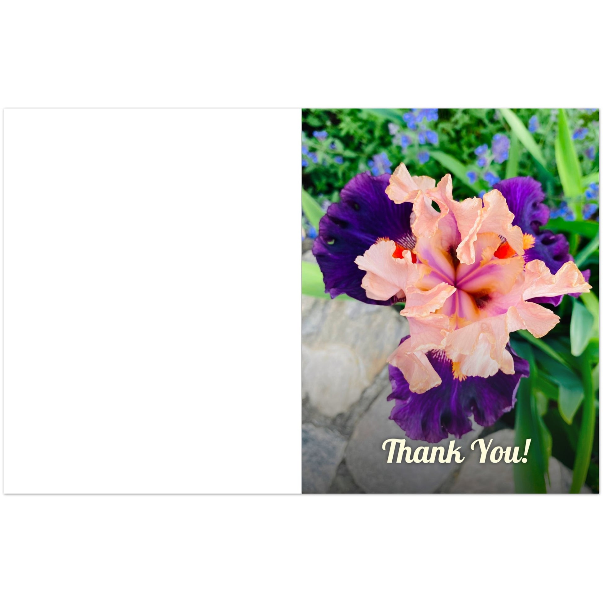 0abb8137-c916-43d6-b2e3-ceb5c723360c