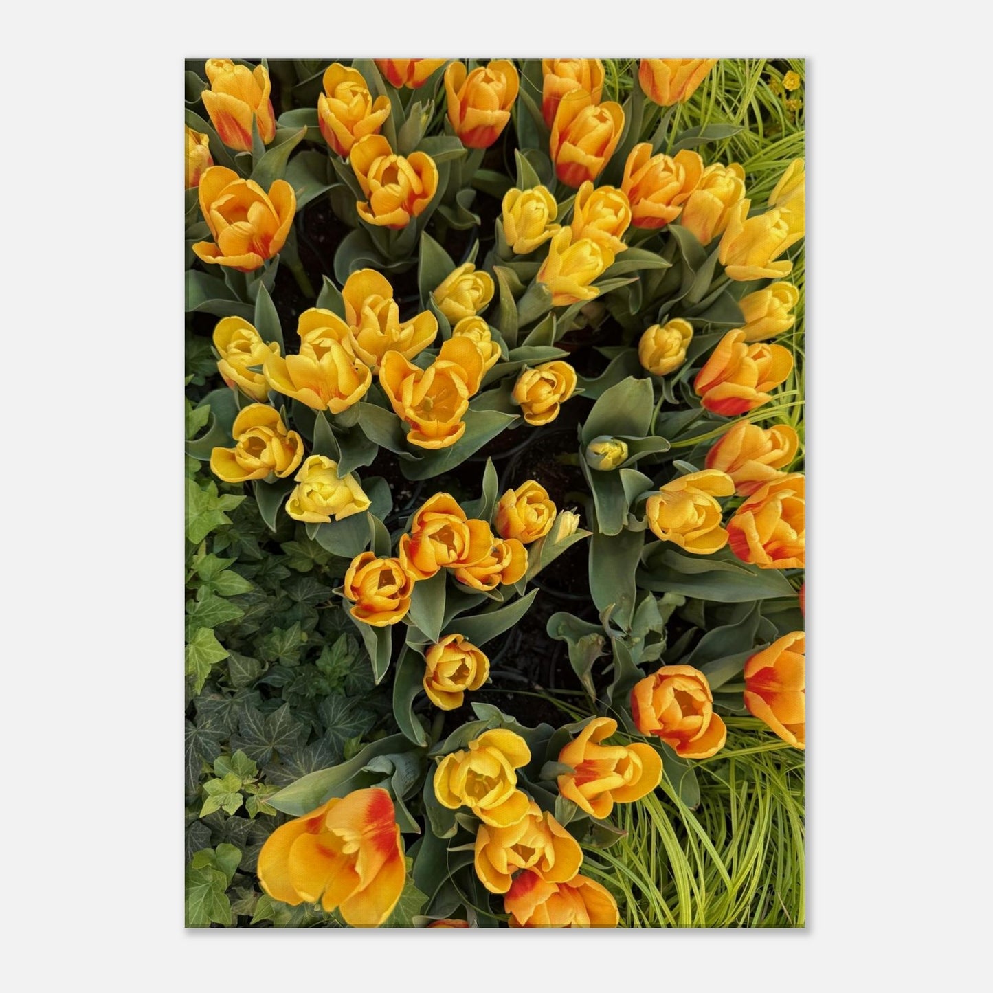 0b7a5e20-afd0-4d0f-9e31-30082606457a