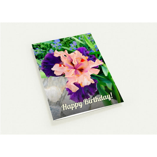 0d5f62f7-2f6c-46ae-884a-454cdfe11b0b