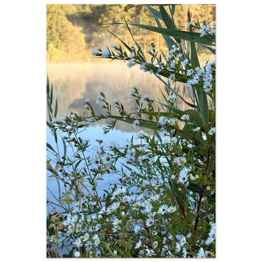 0e5f8758-0d68-4e98-87e5-4cb4b46c15b9