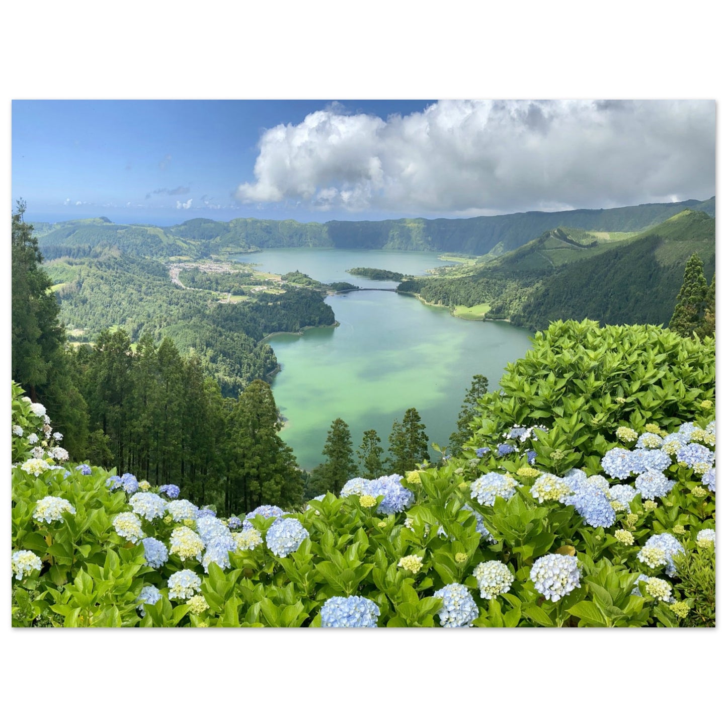 0e809cda-868e-45e3-a269-2471a97db983