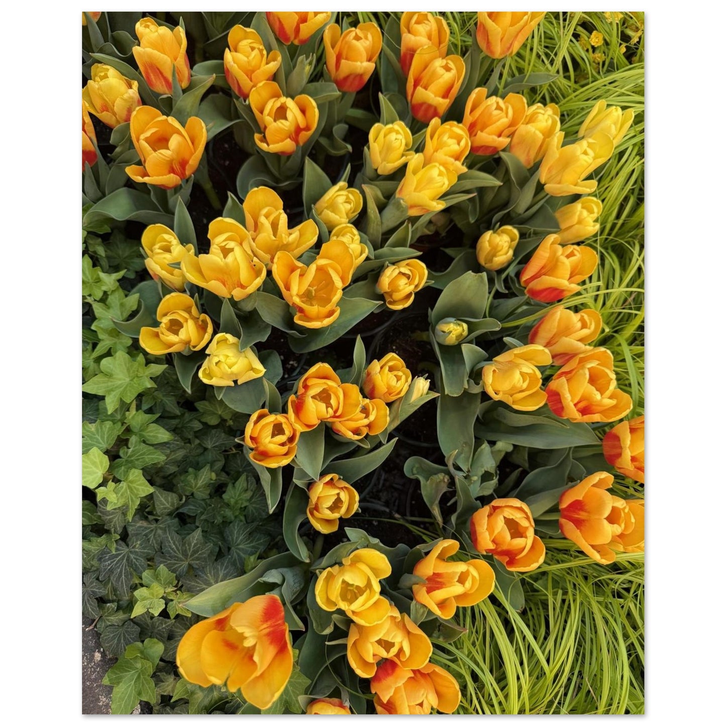 0f0cf4a6-6cff-45e5-b04d-21dc297dfc00