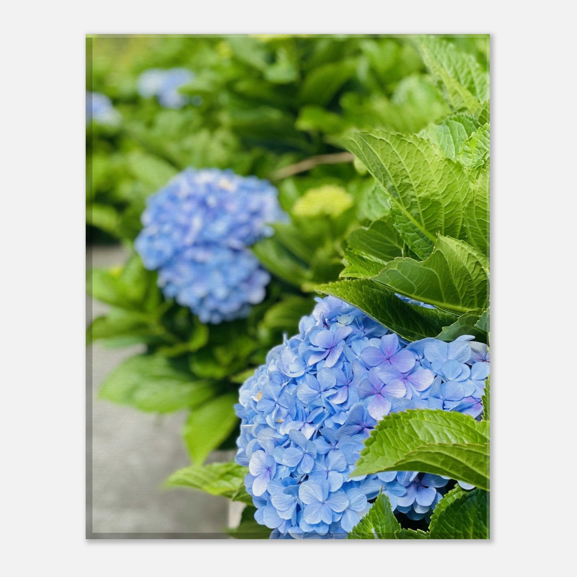 0f287bbd-4d2a-4f27-a871-824c39bf23a3