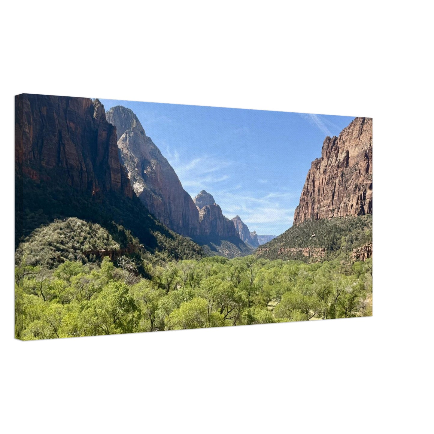 103f8cf7-a540-479c-8163-56939d443357