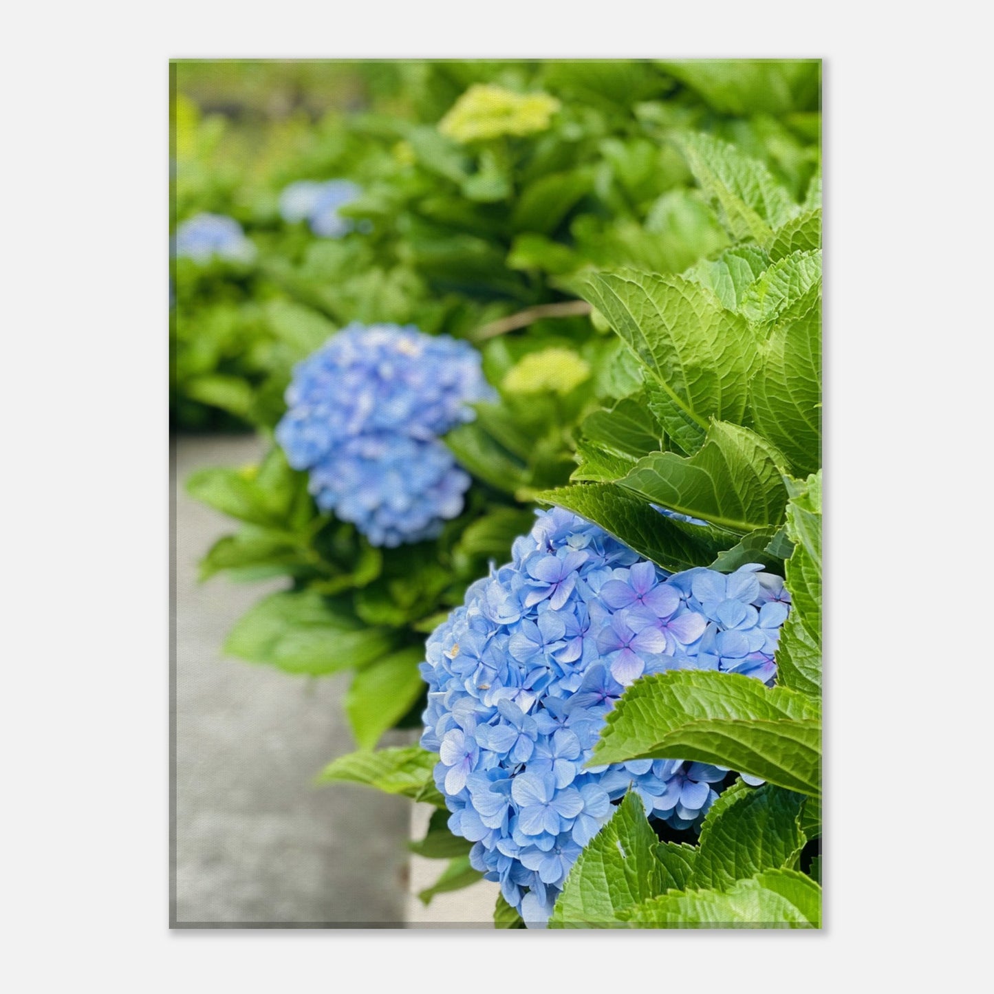 107a8a12-effc-416a-9fe9-89eb32bd496a