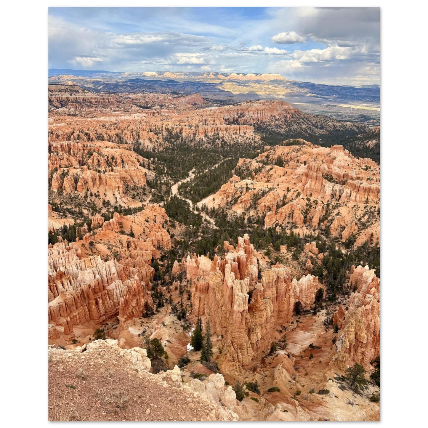 10ffa113-49ea-4f09-8985-e516c596be64