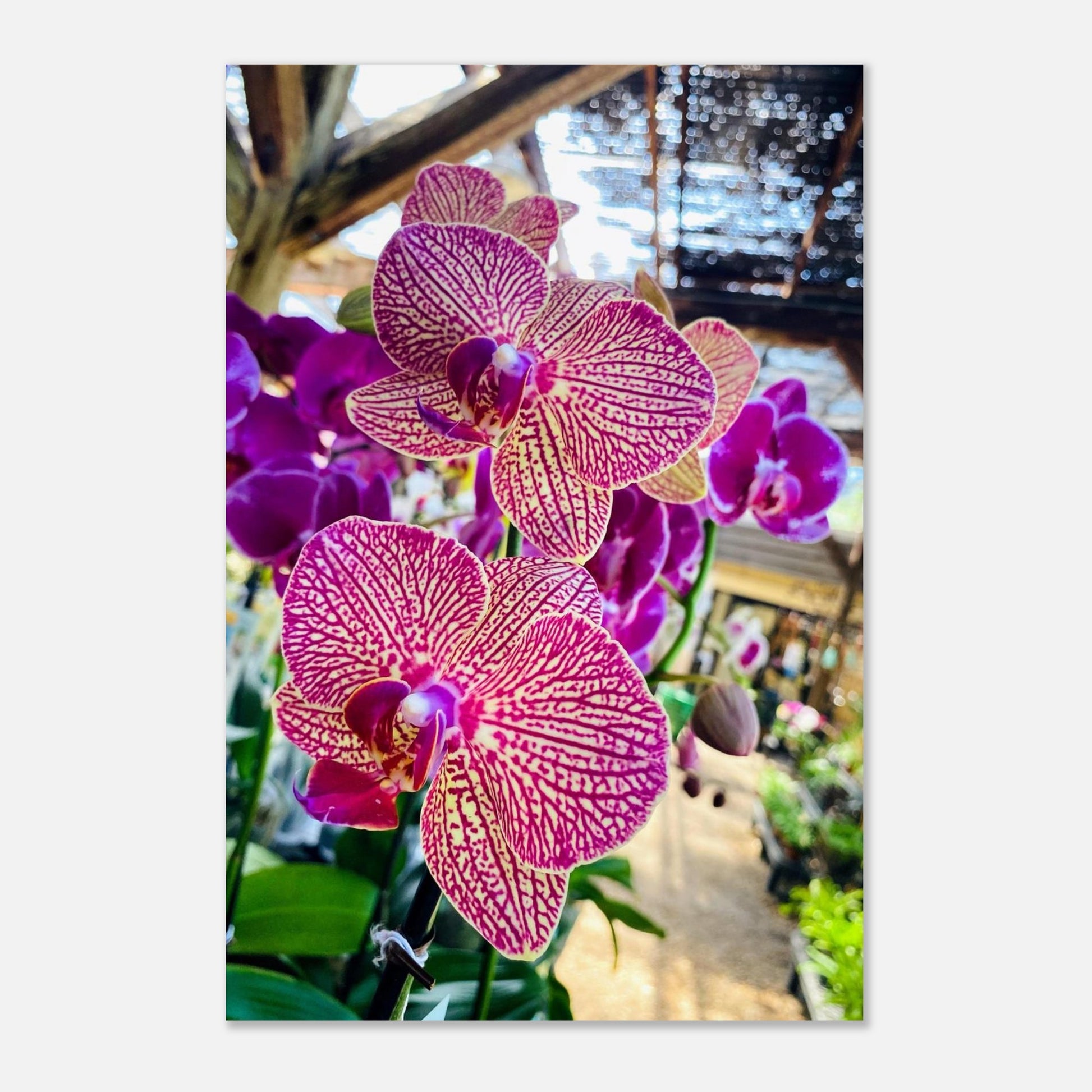 1124ff8b-3f81-4e17-8822-840f56262934