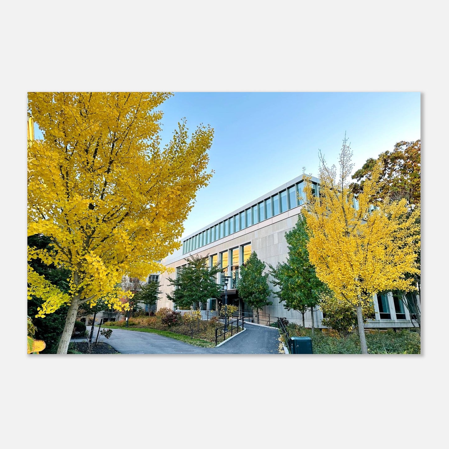 115e6289-61bd-4420-aa18-8bf2d04f4ef5