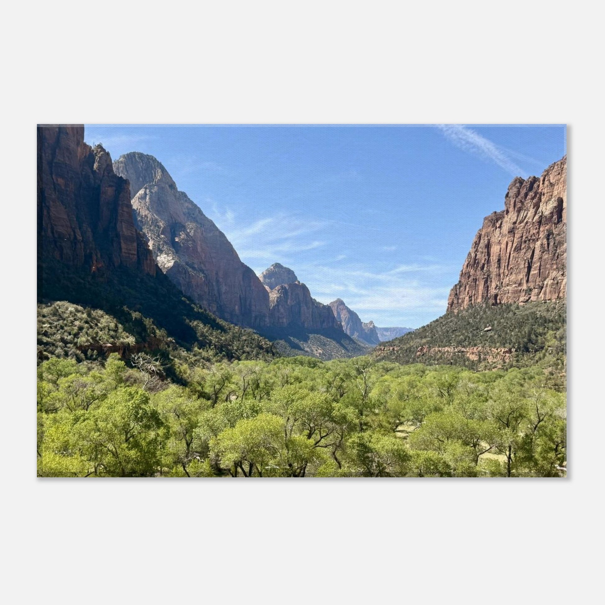 11b0863d-8707-4391-87ab-8aa28b82cc13