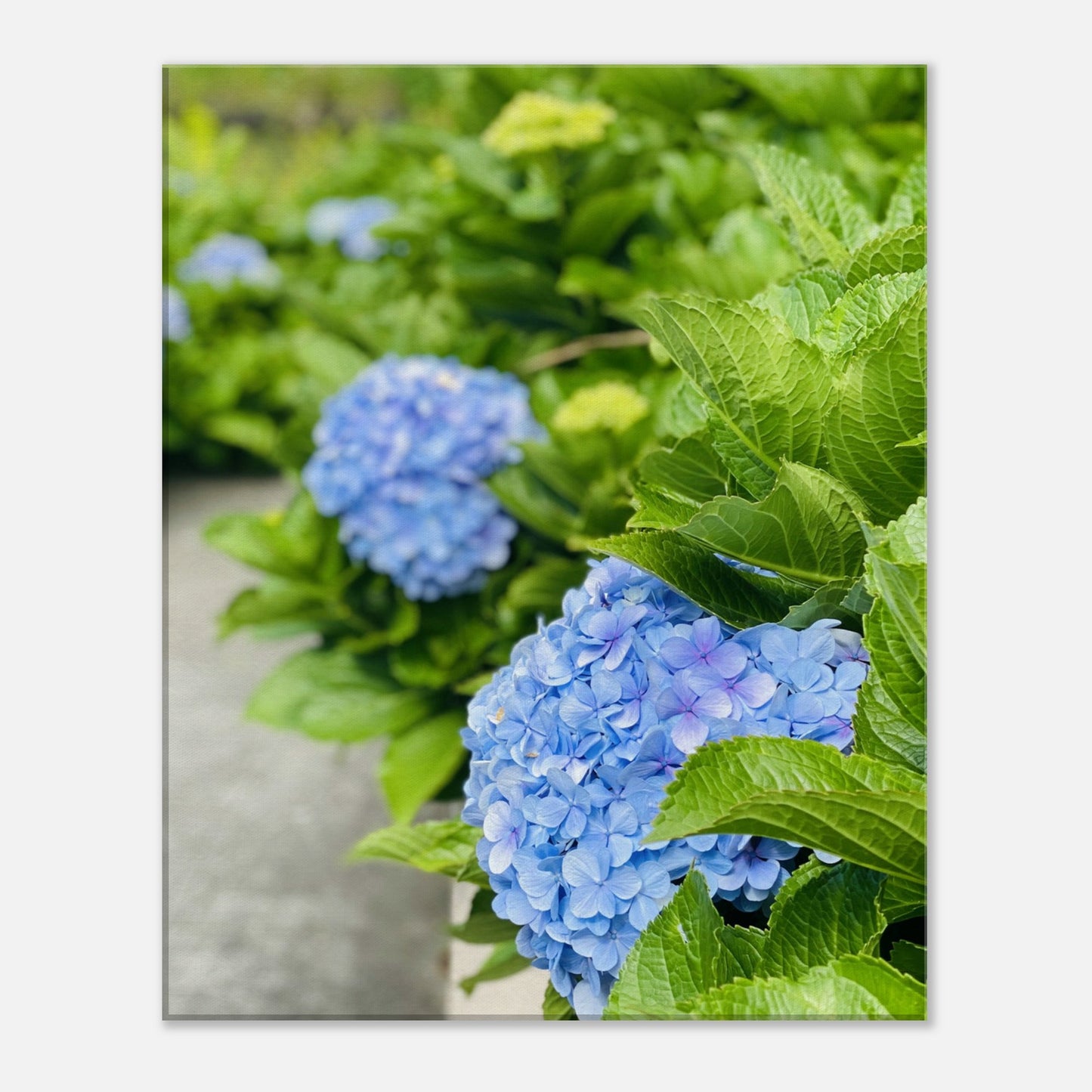 127695ef-26e5-4fdc-bff3-552169999ed8