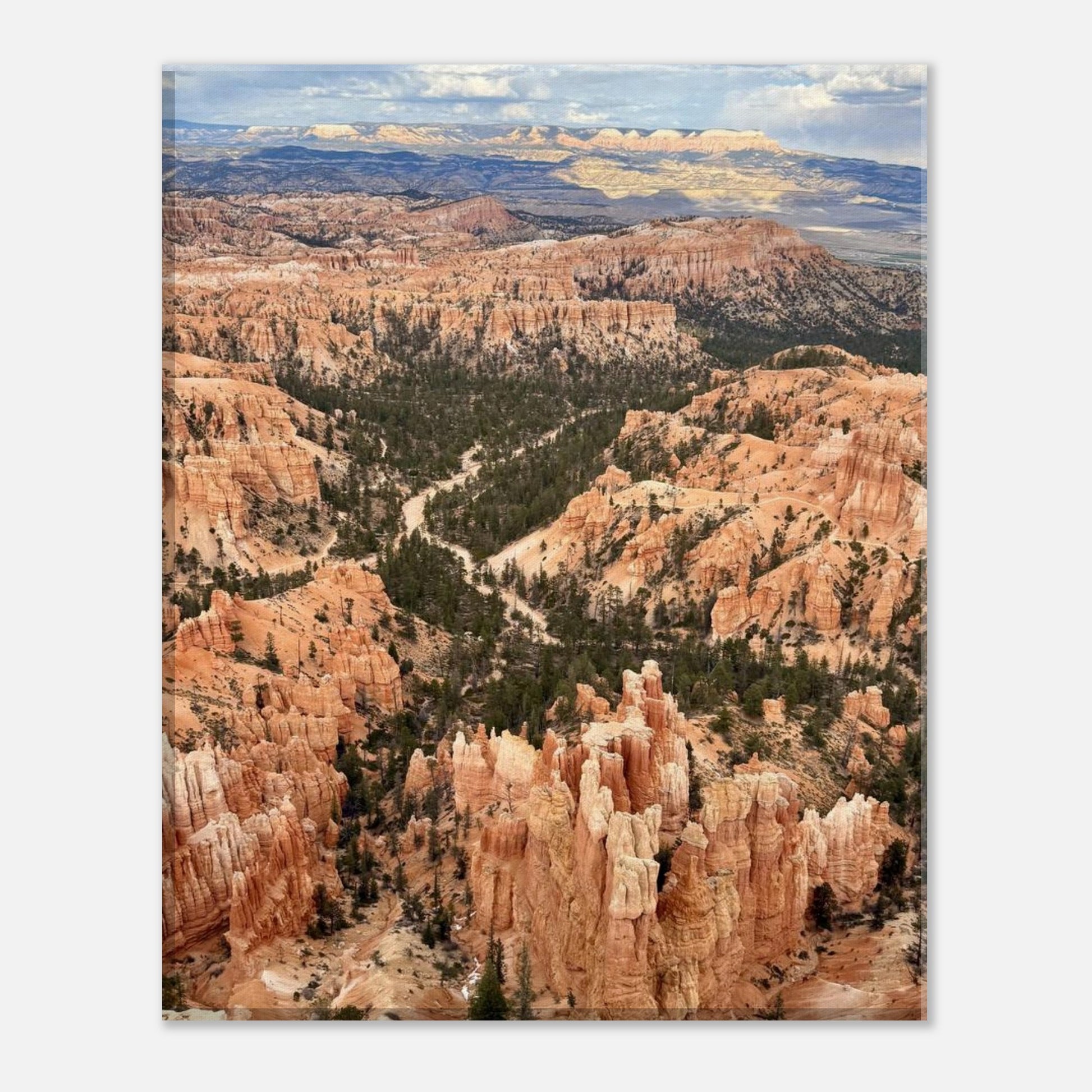 1369d4af-0673-4a2a-b13e-1e19303916ec