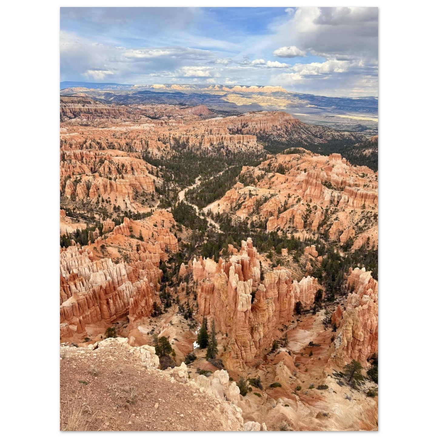 15bc3e47-62f4-439b-8066-bb4523a968fa