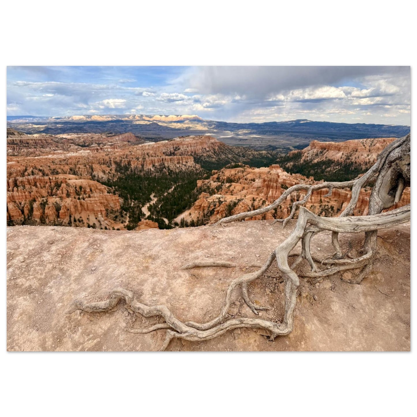 16f8cede-dd8b-4eda-b4af-149402cac78d