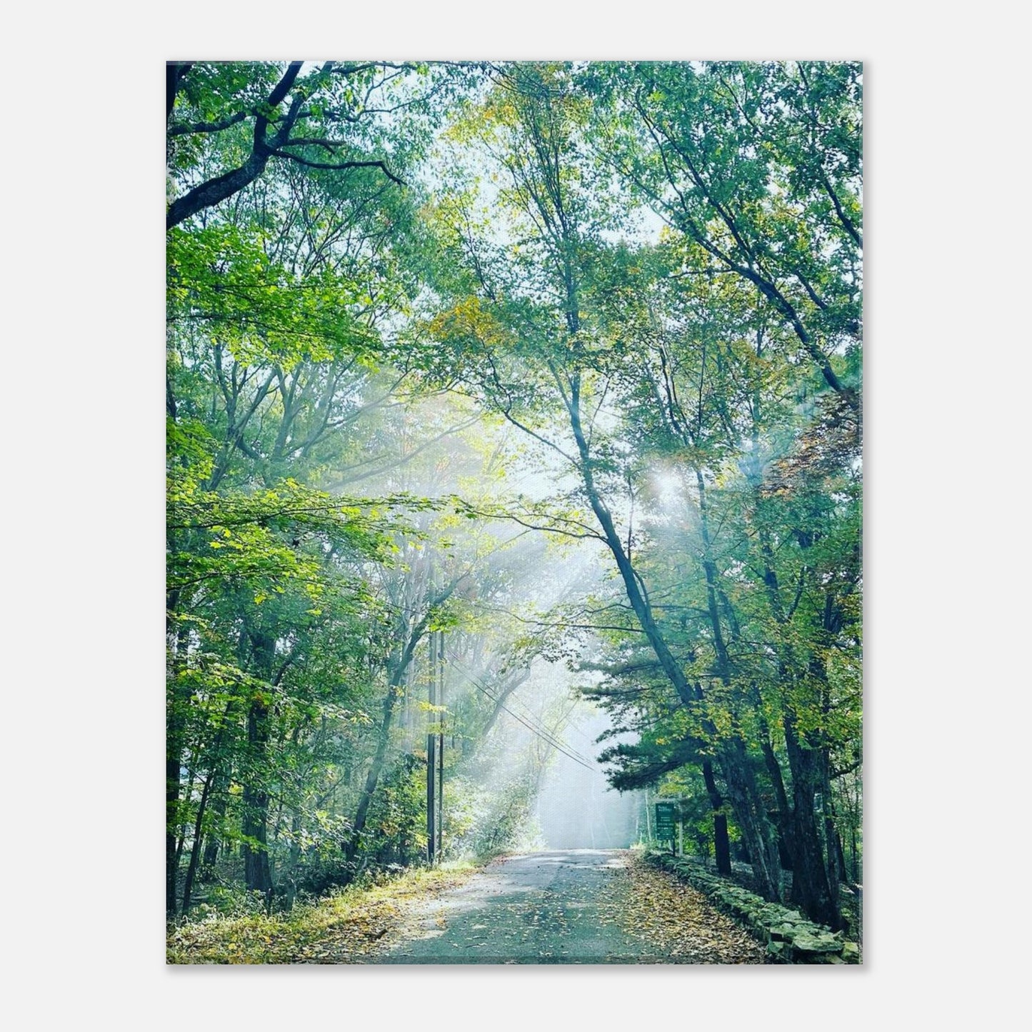 18d5fe9e-142f-43bf-b1c0-ddb3a01b07e7