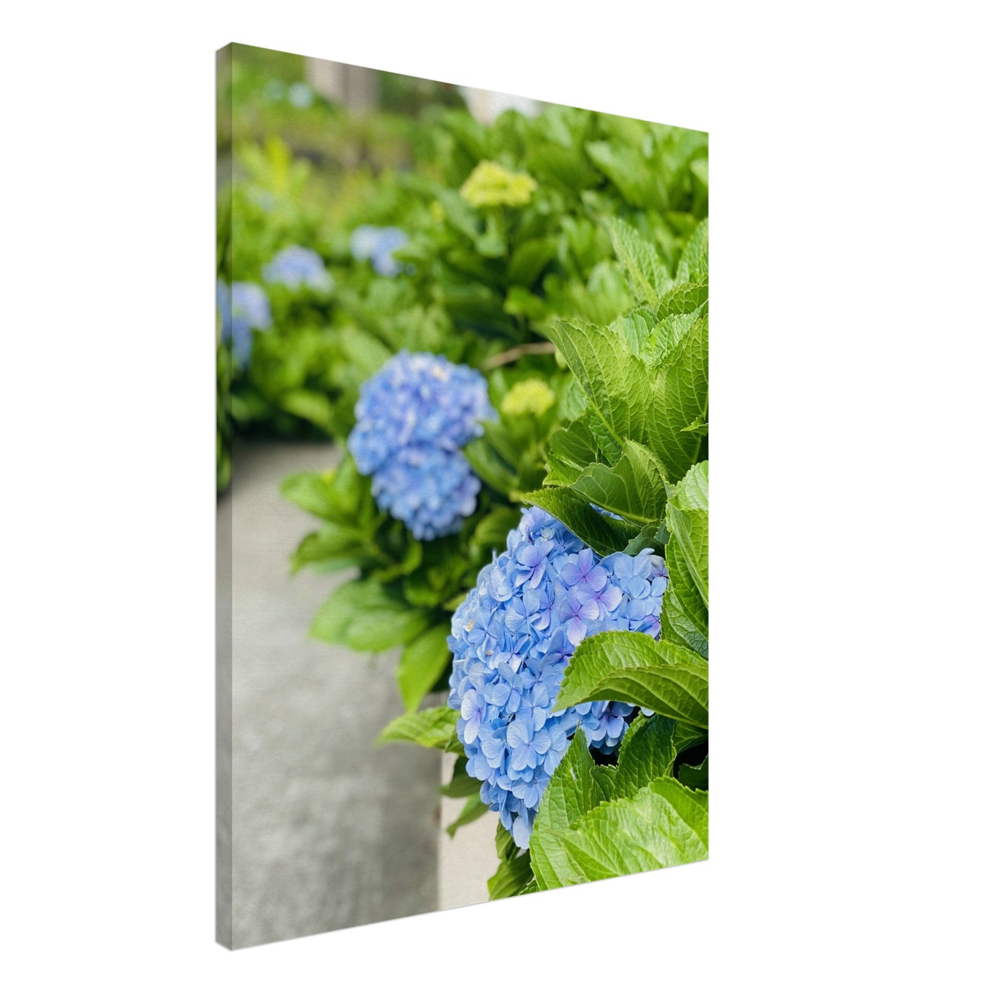 19bc653c-f177-499f-8ac0-acfecaca6d15