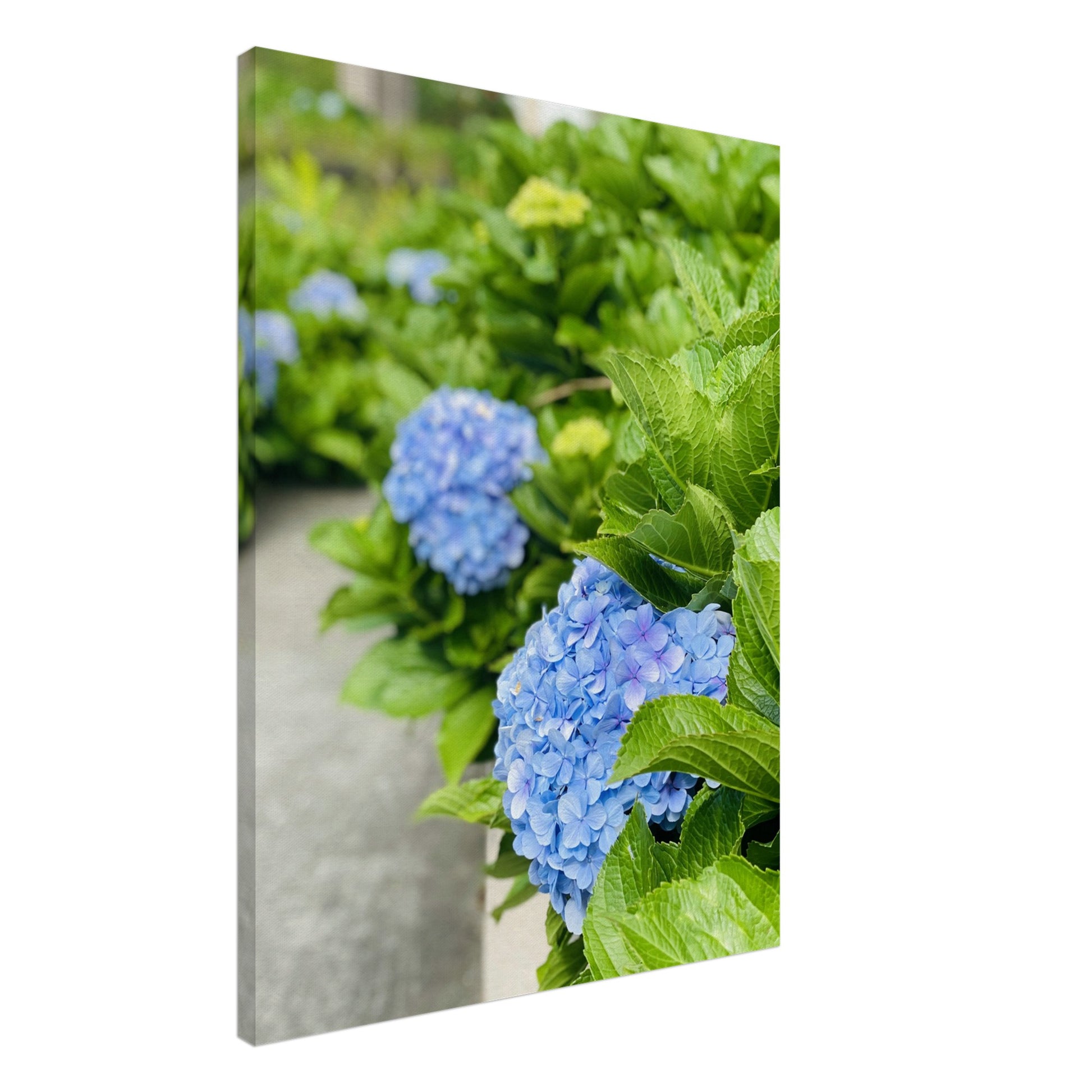 19bc653c-f177-499f-8ac0-acfecaca6d15