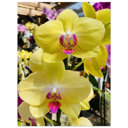 1a39175c-f360-490c-9c76-1187ad09d279