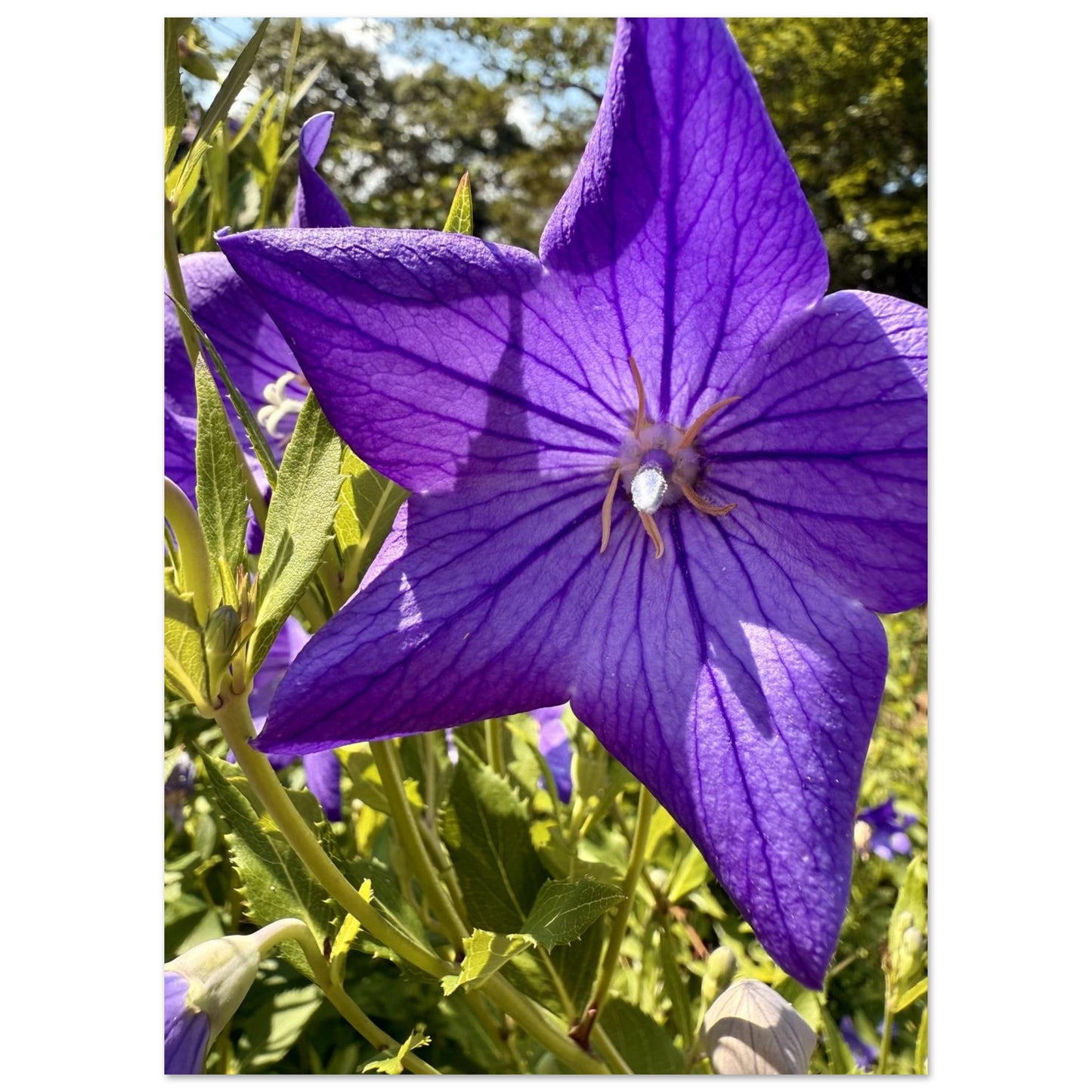 201ddcd9-b06b-416b-80d0-f523692b1d0c