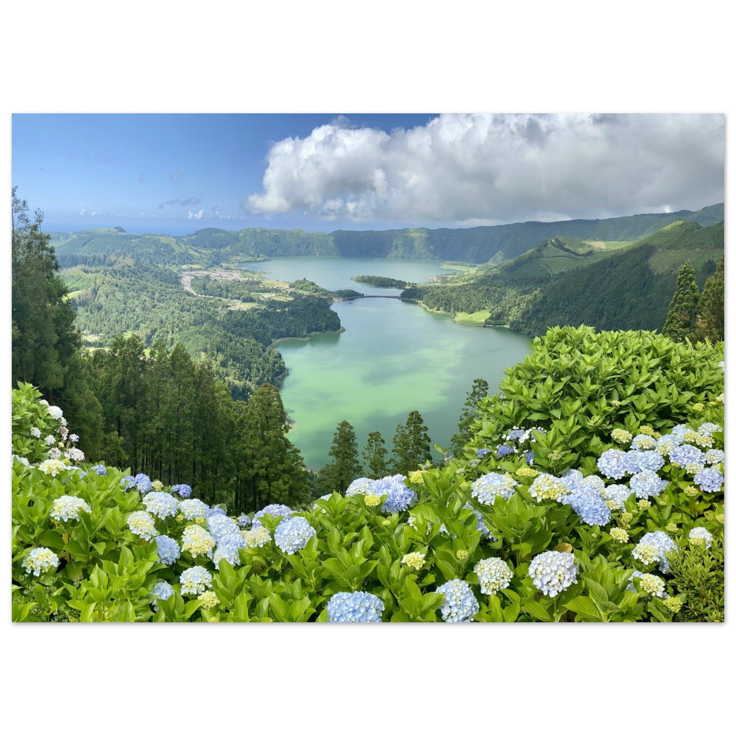 20d1e1f6-5ae6-4a61-b325-81f183f44ab2