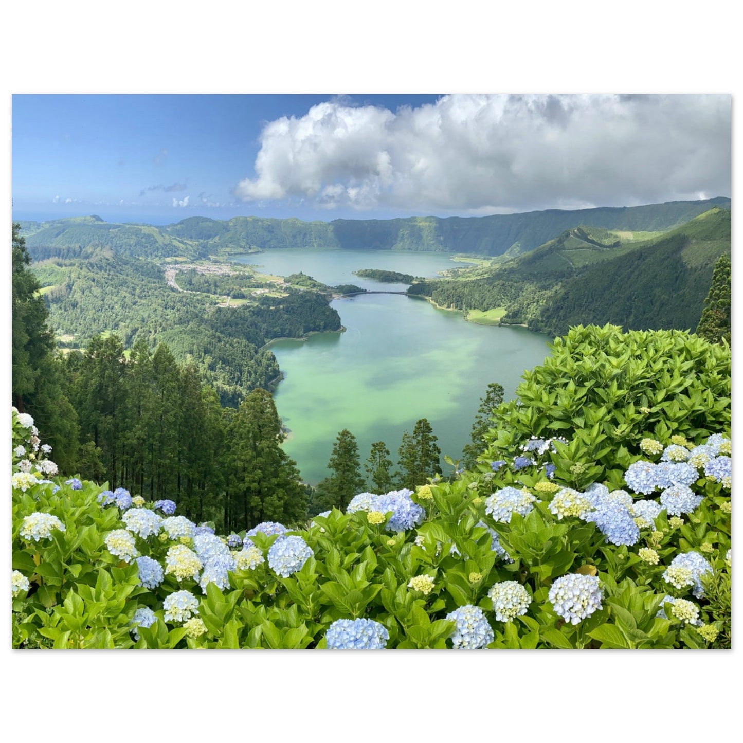 2401dd03-41ab-41de-95d7-8a0a6ef8a47d