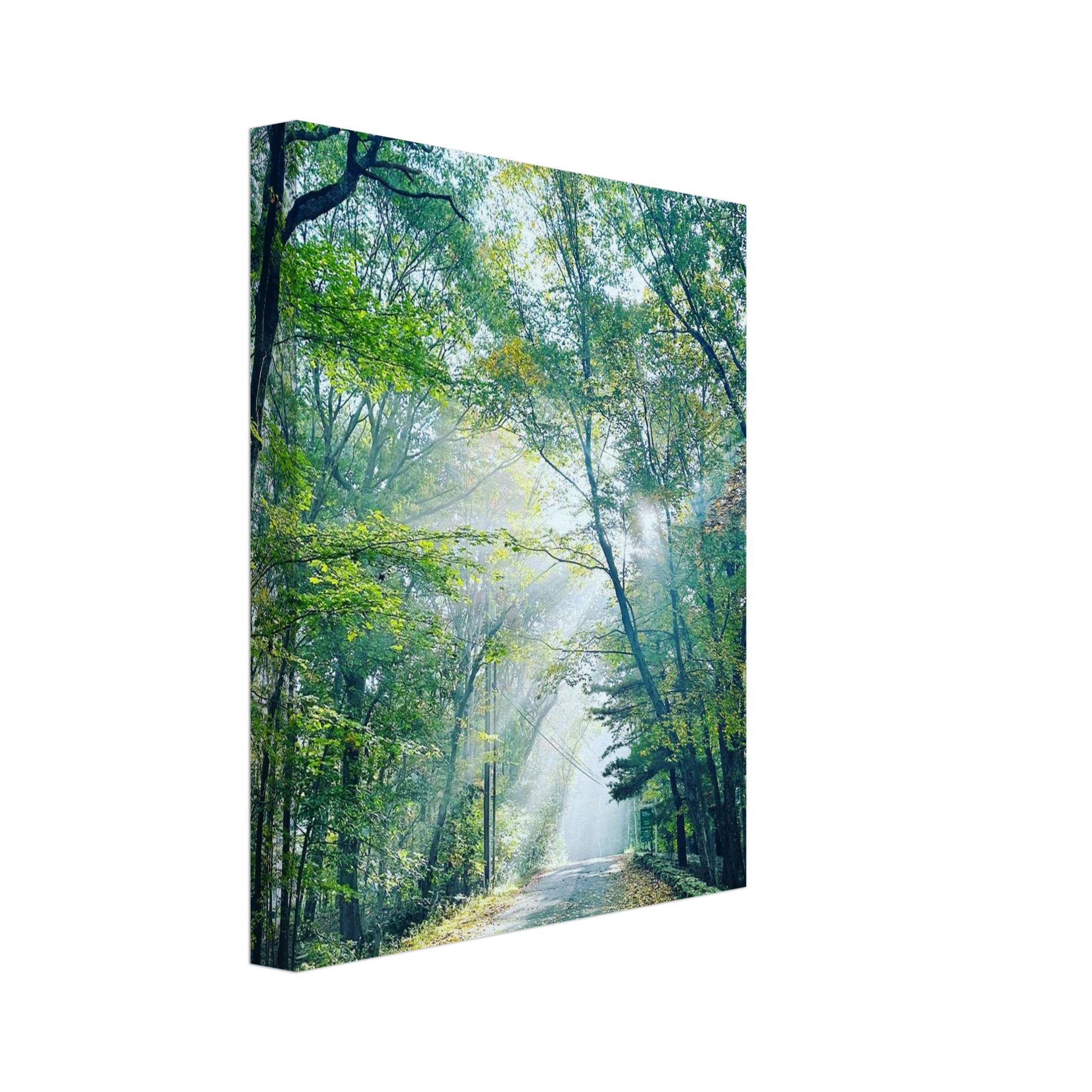 24ec5499-f2ca-4454-a16e-f649f181a6cc