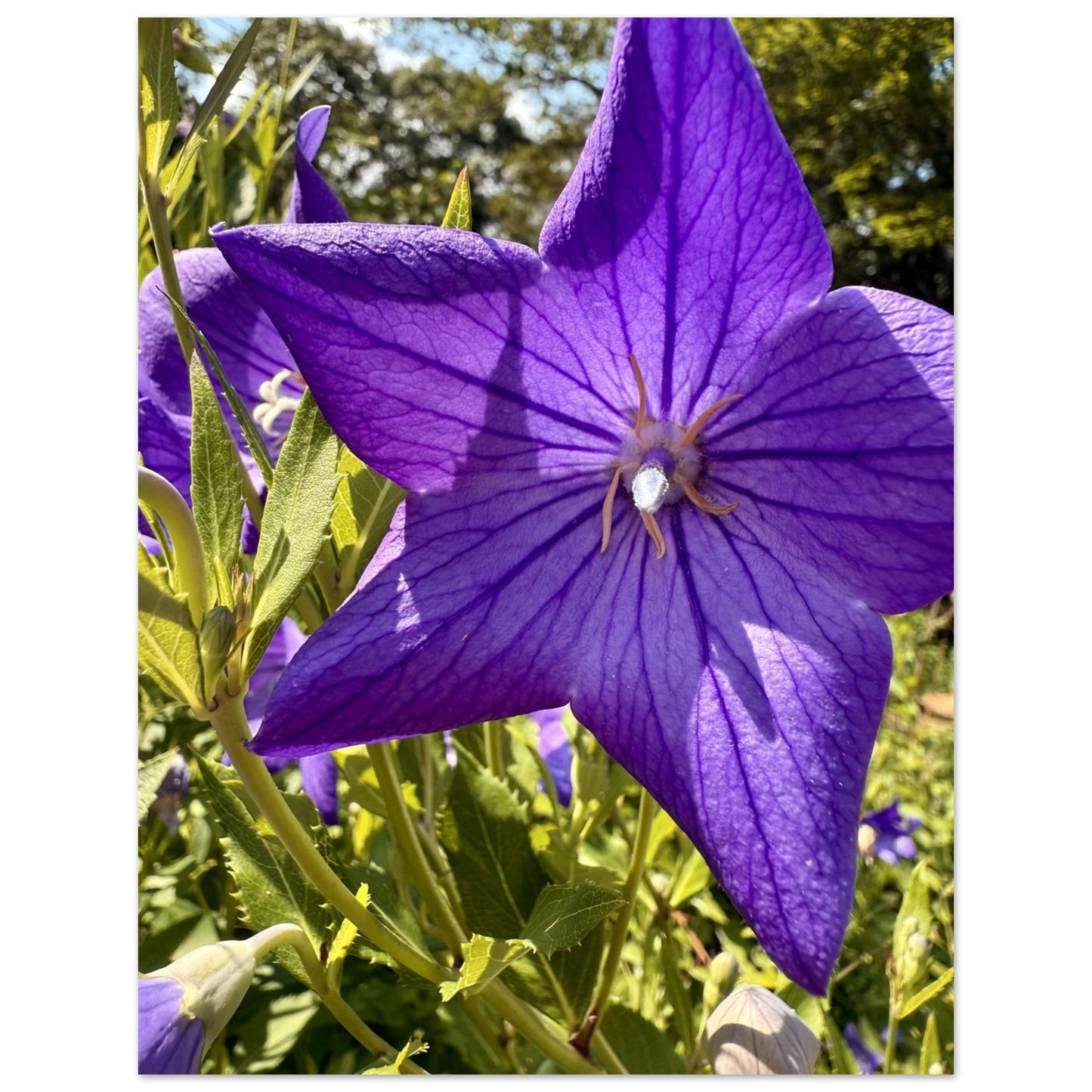 253e1bc3-1bec-48e8-bd98-a2897027b55e