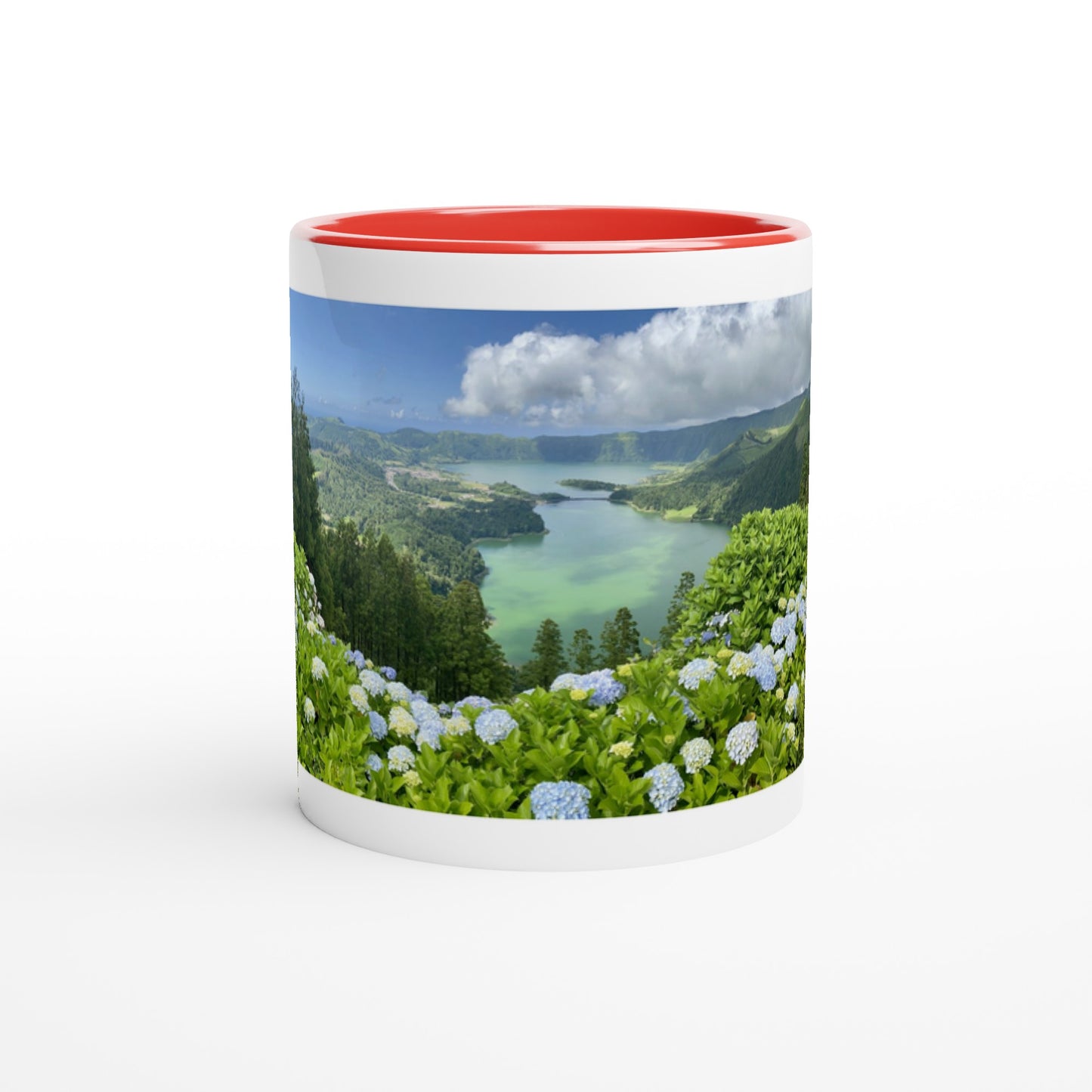 2626e99f-f801-4fd9-a2b9-4659a81307d6