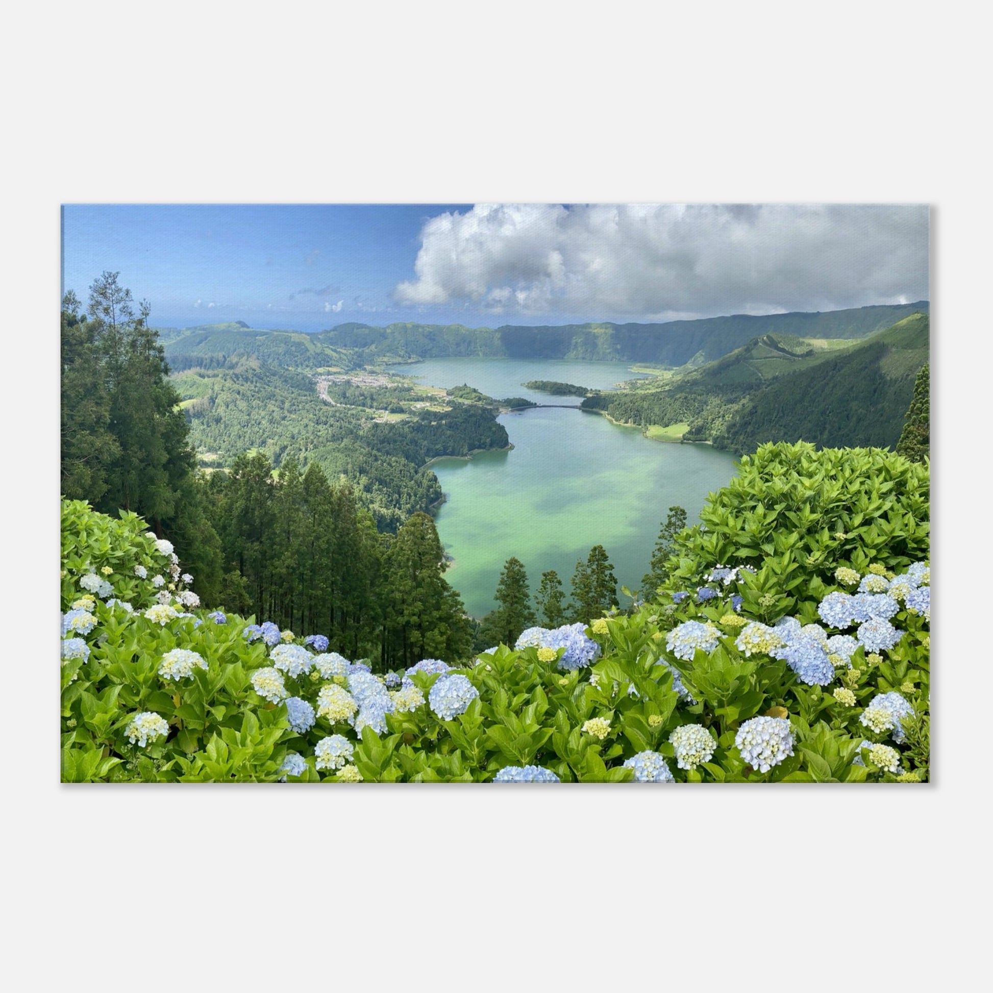 2845a3fc-eb63-4f93-85dd-d7b1482628da