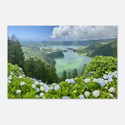 2845a3fc-eb63-4f93-85dd-d7b1482628da