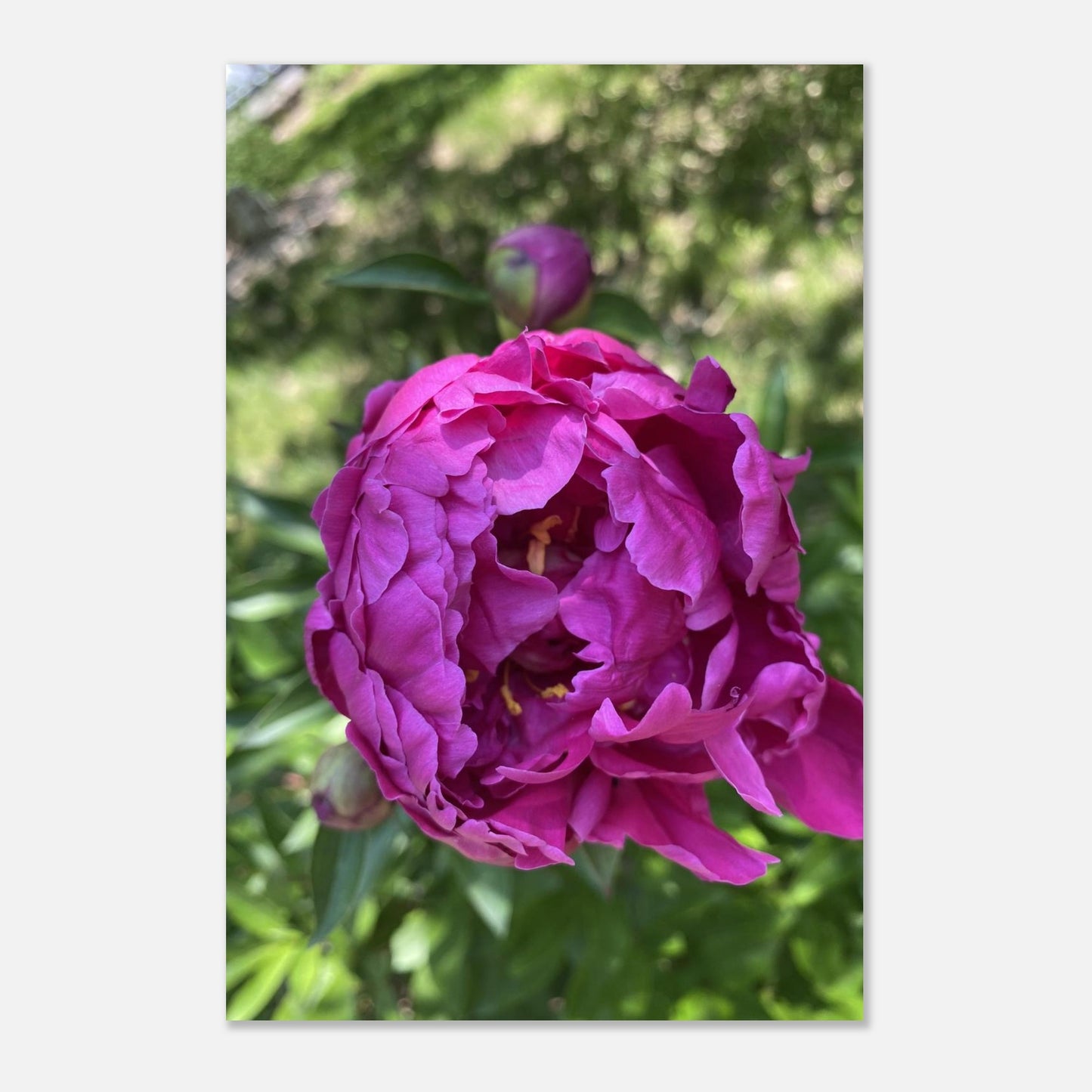 2889982d-18d1-4dd2-807b-4a8c7ea5fd9e