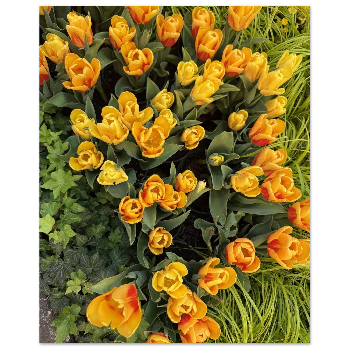 2a93878c-8428-4769-b9f3-de104dcab39c