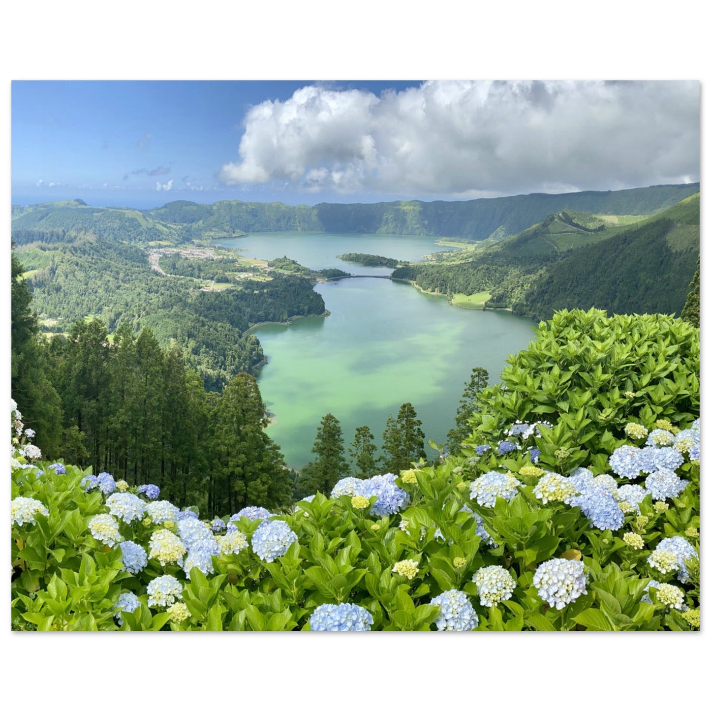 2ca15b2a-9edf-4ed5-8677-d9f60d45175d