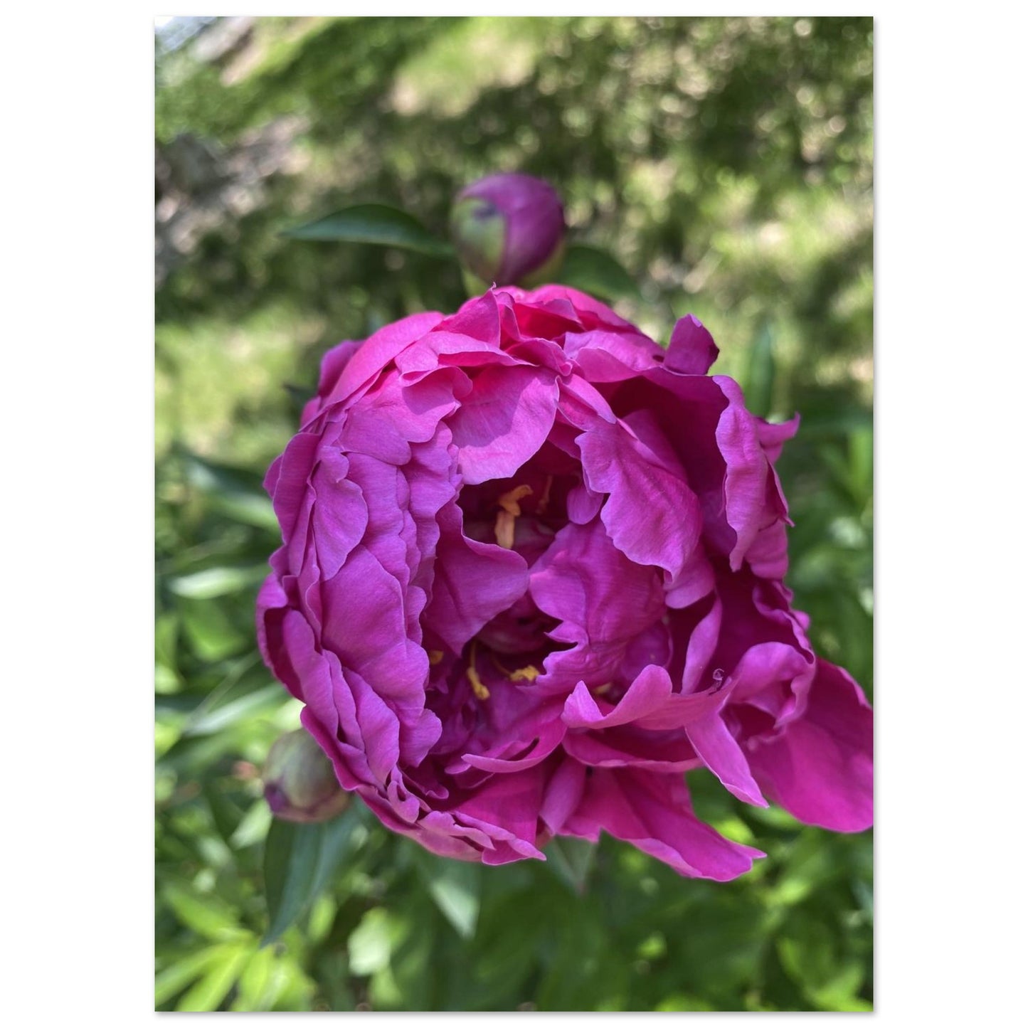 2e4e5c34-3346-493c-aefd-9e39067cb554