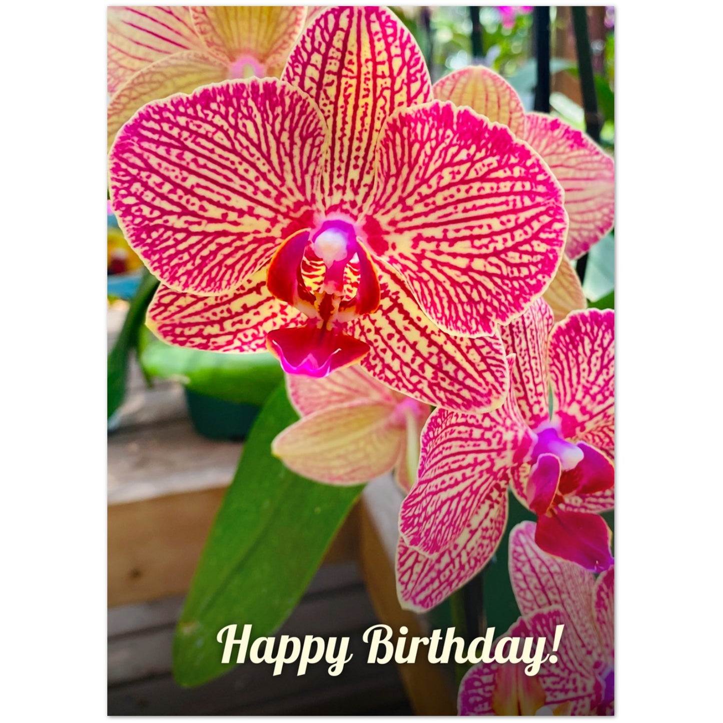 2efa2637-73df-4c60-b3e0-ccd31fc8d624