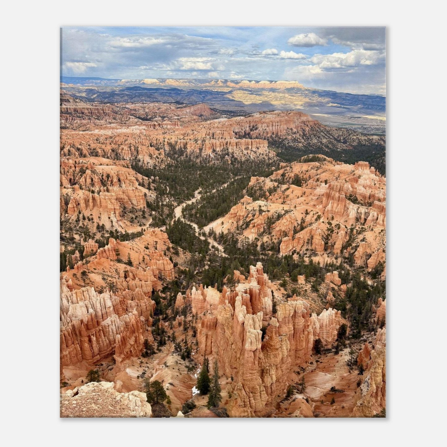 2eff834e-eb59-4587-86ee-f6e63e3c8053